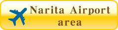 Narita Airport area